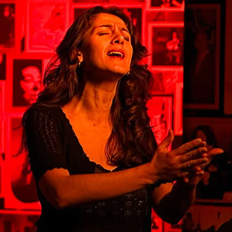 Walking tour of Alfama with fado and dinner included · publisher image