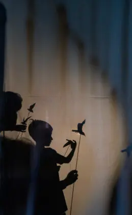 Fado Iluminado · publisher image
