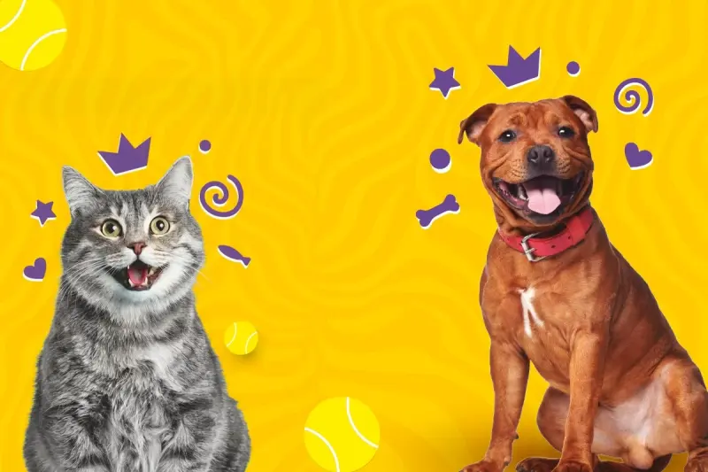 Dia Mundial do Animal · publisher image