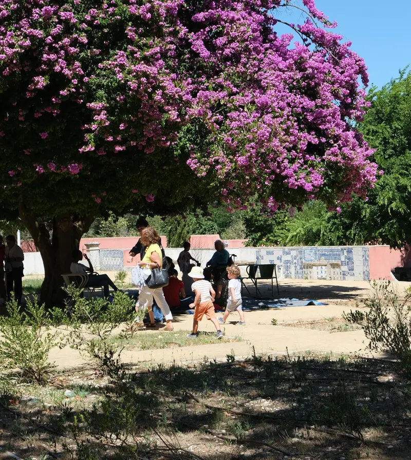 O Domingo é na Quinta · publisher image
