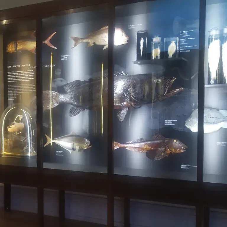 Visit to the Vasco da Gama Aquarium · publisher image