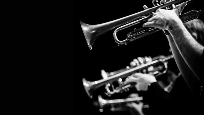 Há Jazz no Parque Mayer · publisher image