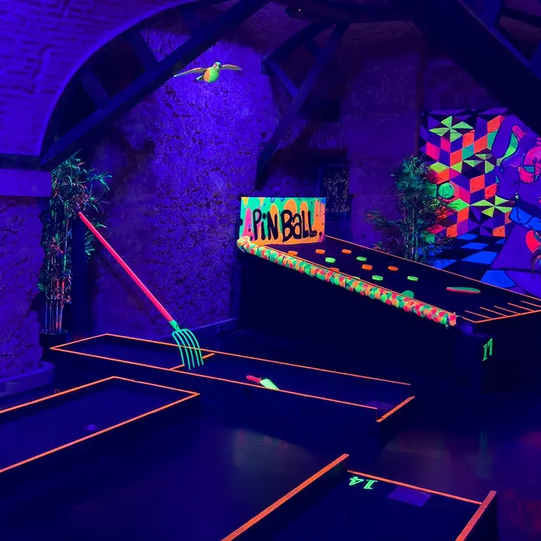 Minigolf Experience: indoor circuit · publisher image