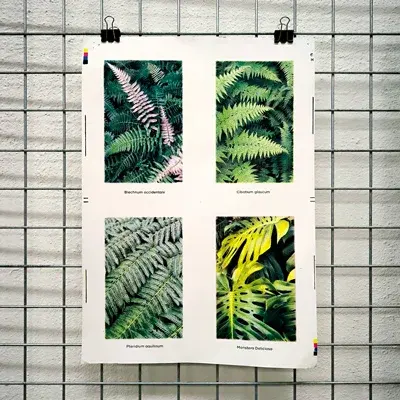 Workshop Serigrafia fotográfica em quadricromia · publisher image