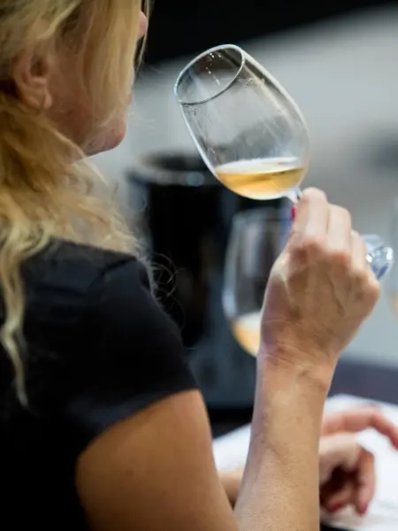 Explorar o Vinho de Jerez · publisher image