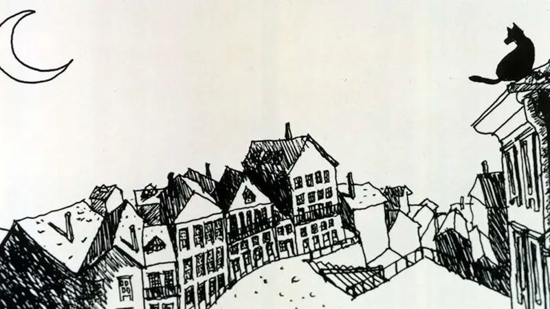 ANIM, 30 anos · publisher image