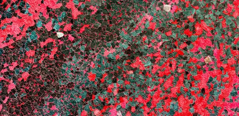 The Nature of Things · publisher image