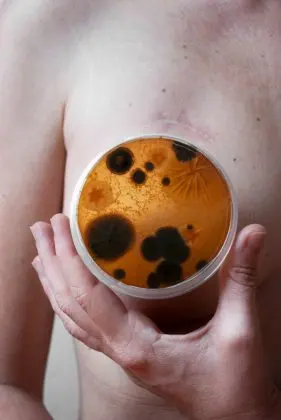Câncer em Saturno, Joana Levi · publisher image