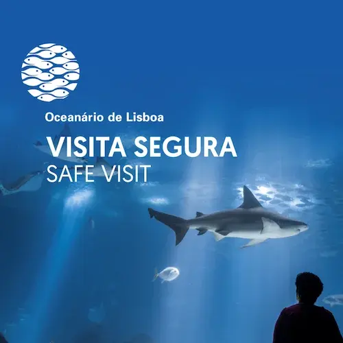 Lisbon Oceanarium · publisher image