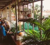 Plants and café tables beside the windows at Café da Garagem