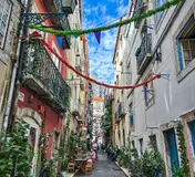 Plants lining Green Street, Rua da Silva in Lisbon