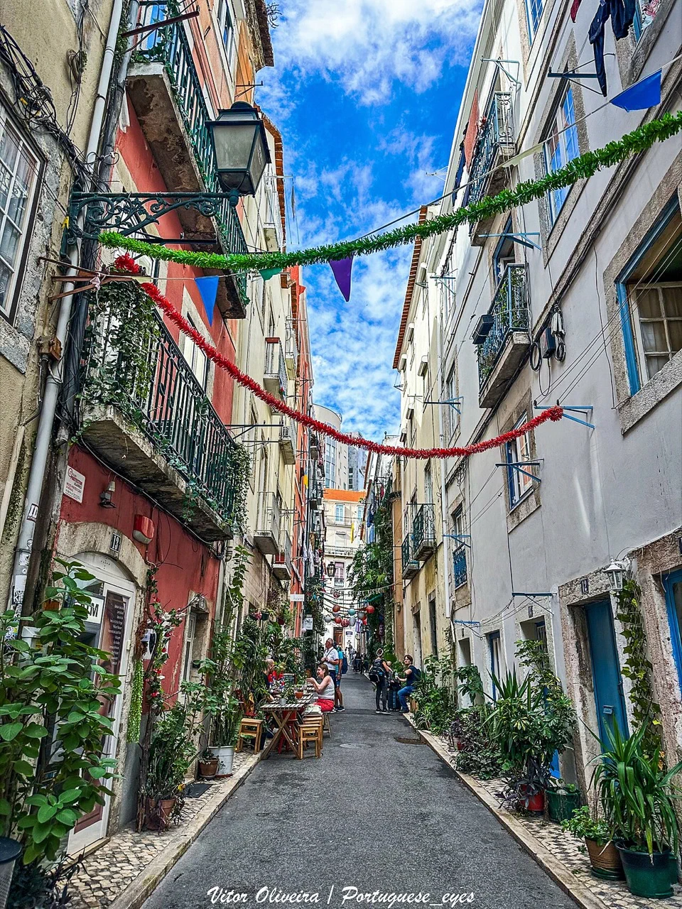 Plants lining Green Street, Rua da Silva in Lisbon