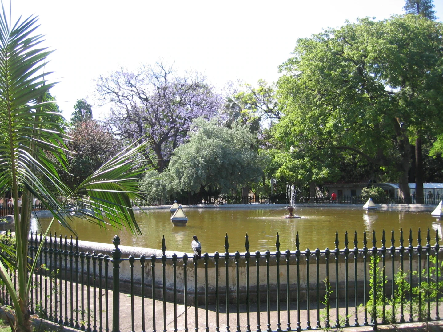 The garden and pond of Jardim do Príncipe Real